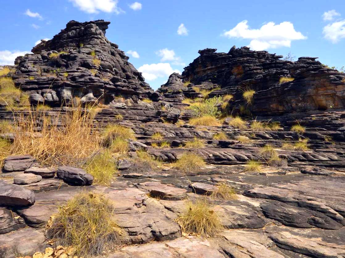 Psynchronize Australia|Bardedjilidji Walk Trailhead: Exploring Kakadu’s Flora
