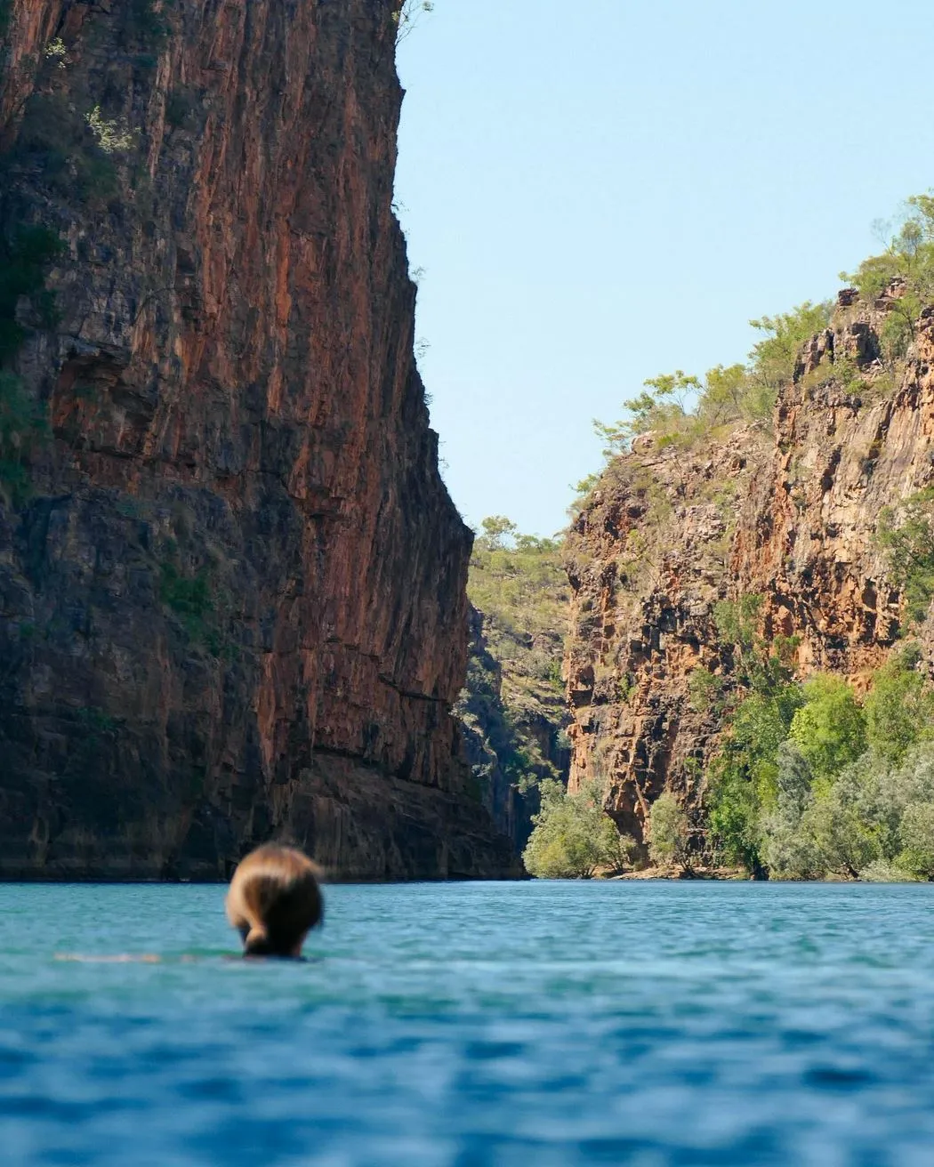 Psynchronize Australia|Can You Swim in Katherine Gorge?